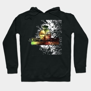 MODERATION IS THE SECRET OF SURVIVAL Hoodie